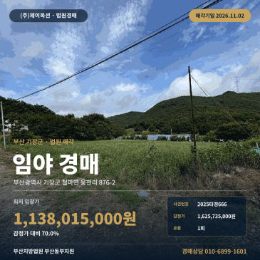 부산 기장군 철마면 산지 경매ㅣ웅천리 임야 3138평 2025타경666 썸네일