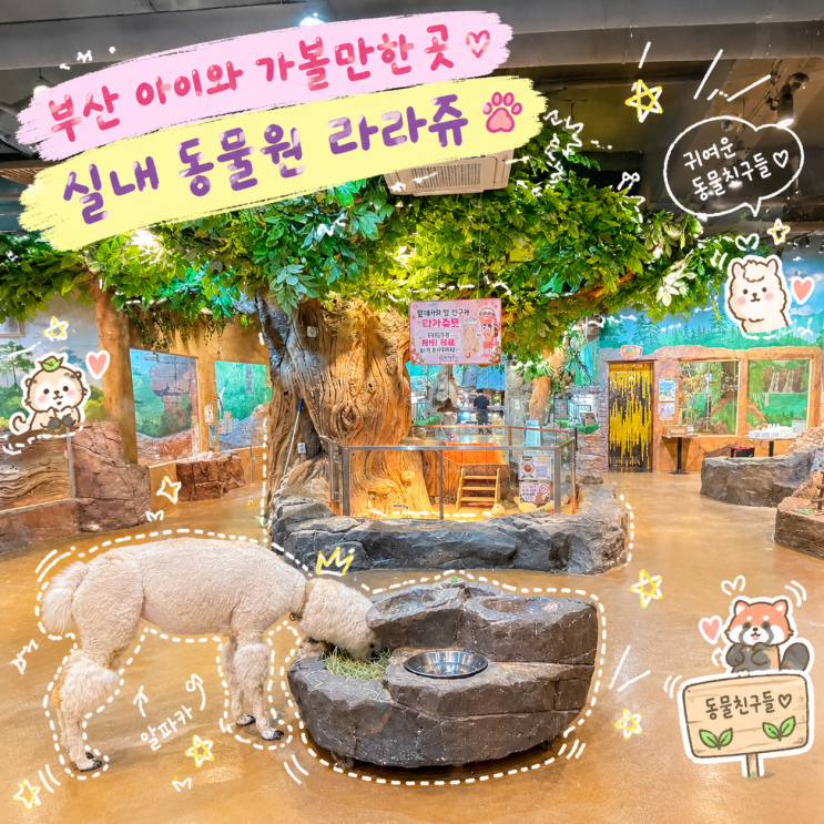 부산 아이와 가볼만한 곳 실내 동물원 명지 라라쥬, n번째 방문중 꿀....