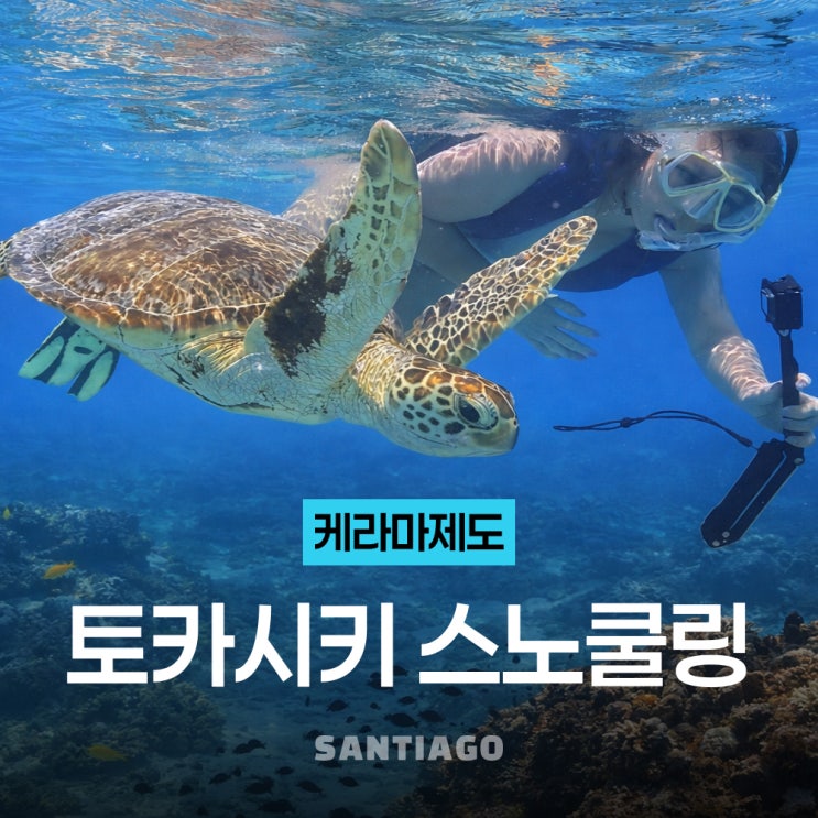 오키나와 토카시키섬 호핑투어 직접 써본 솔직 사용기