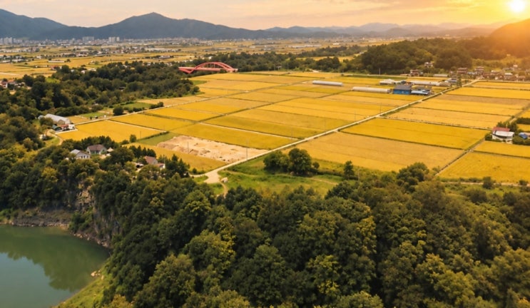 🌾 2026 철원오대쌀축제 총정리｜철원 가볼만한곳·쌀의 모든 것·먹거리·여행코스 : 네이버 블로그