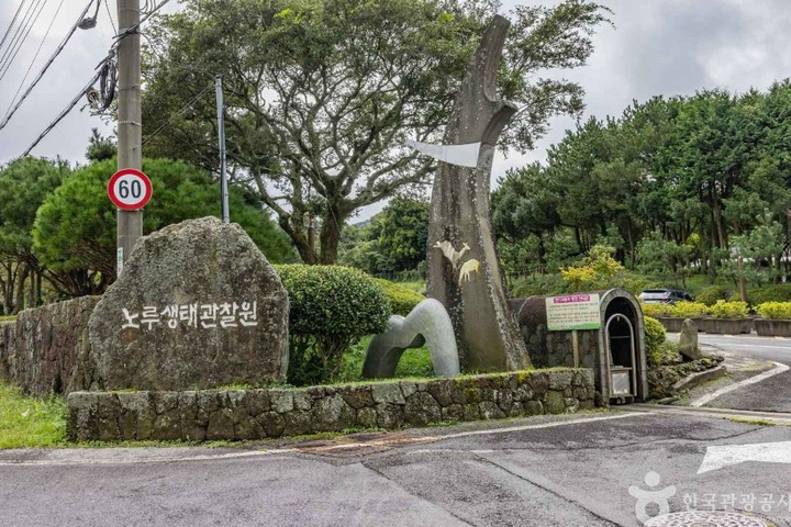 제주 제주시 제주 노루생태관찰원, 거친오름 자락 노루 관찰로와 생....