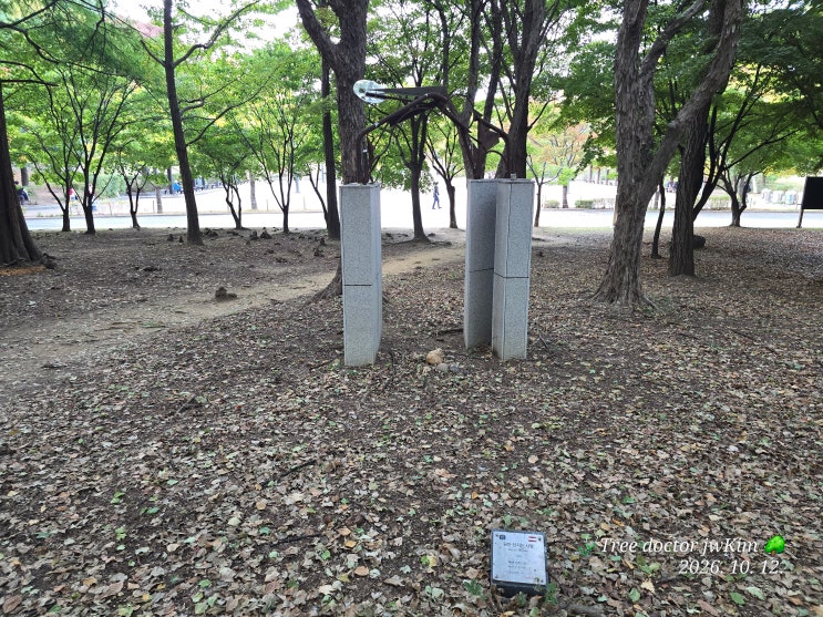 올림픽공원내 조각공원 작품기행          "원반 던지는 사람"