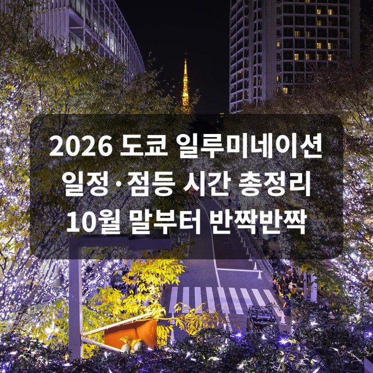 2026 도쿄 일루미네이션 일정 총정리 마루노우치 롯폰기 케야키자카 ....