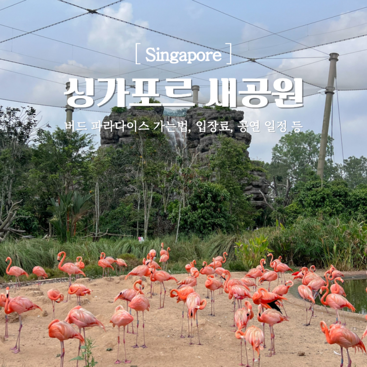 싱가포르 새공원 버드 파라다이스 셔틀 가는법 입장료 비교 관람 팁....