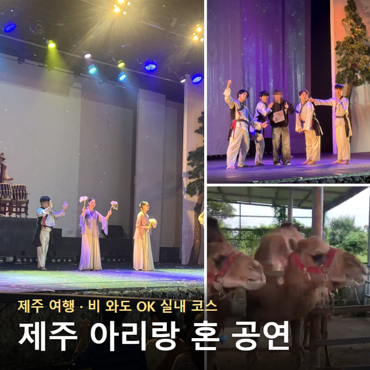 제주 아리랑 혼 공연 후기 | 제주도 날씨 흐리거나 비 올 때 가볼만....
