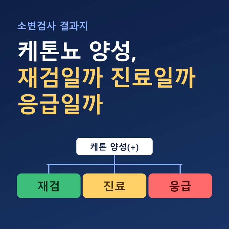 케톤뇨 양성 나왔을 때 재검·진료·응급 가르는 기준 : 네이버 블로그