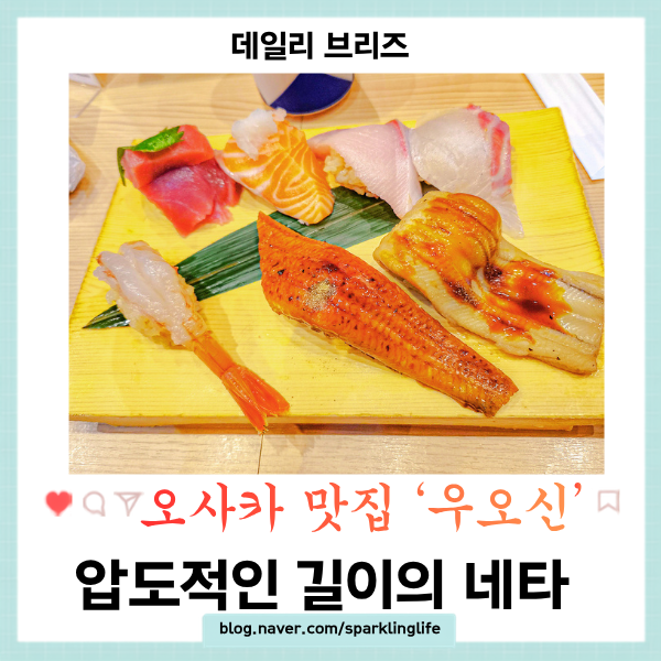 오사카 스시 맛집  우오신 신사이바시점 메뉴 가격, 아이와 방문 후....