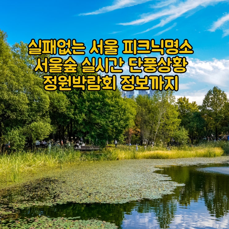 서울 피크닉명소 서울숲 실시간 단풍상황 서울국제정원박람회 정보 정리 : 네이버 블로그