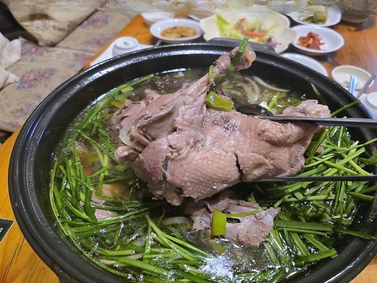 용인해신탕 기준을 다시 세운 박터진흥부네 용인기흥점, 기흥 맛집 솔직 평가 : 네이버 블로그