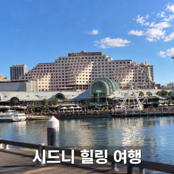 시드니 세미패키지 7일 코스 추천ㅣ본다이 비치, 블루마운틴, 갭 파크 : 네이버 블로그