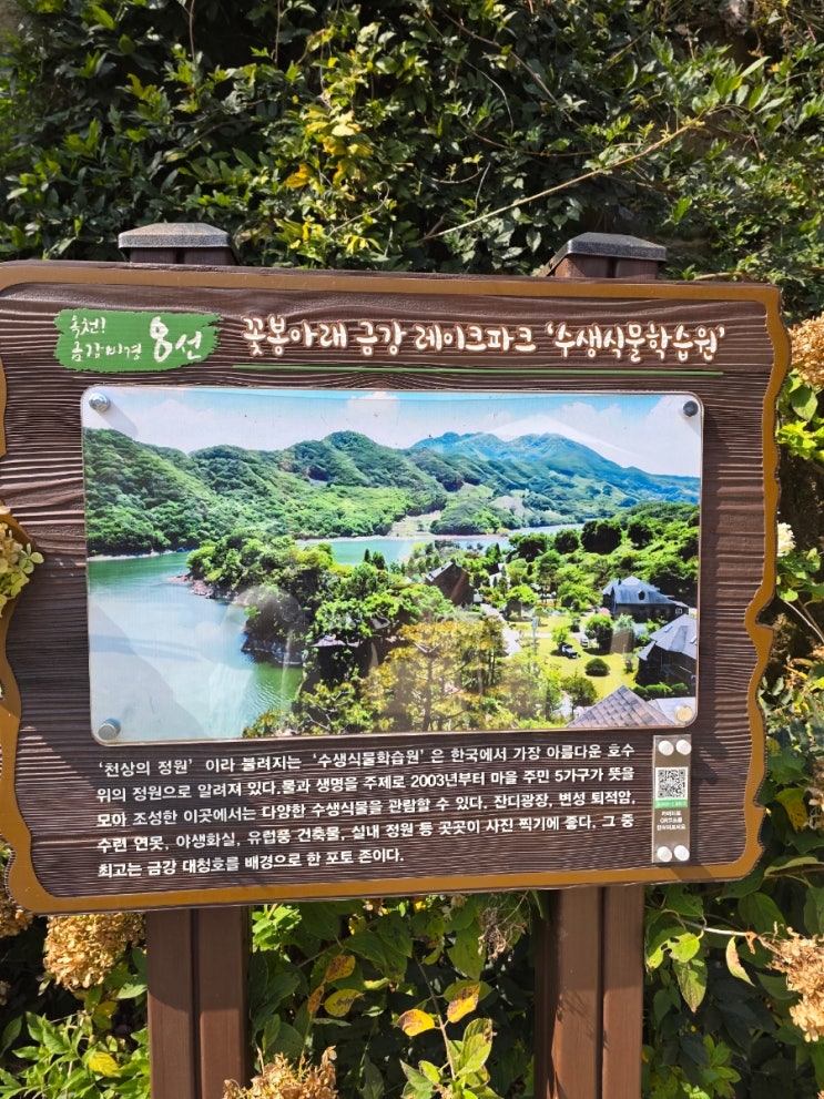 옥천 가볼만한곳 천상의정원 수생식물학습원