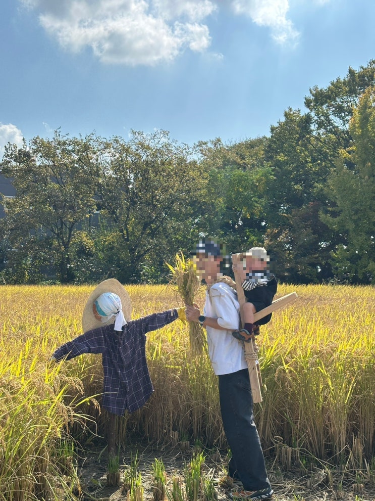 (부산)김해 아이와 가볼만한 곳, 러블리가든 레트로 쌀 수확  이색 ....
