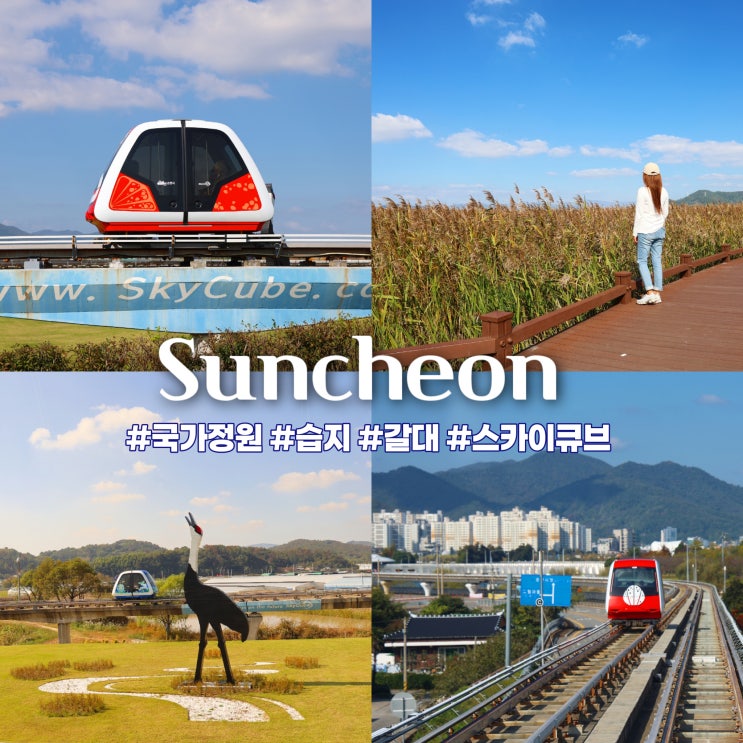 순천만국가정원과 순천만 습지 갈대밭 왕복 순천스카이큐브 탑승 정보 : 네이버 블로그