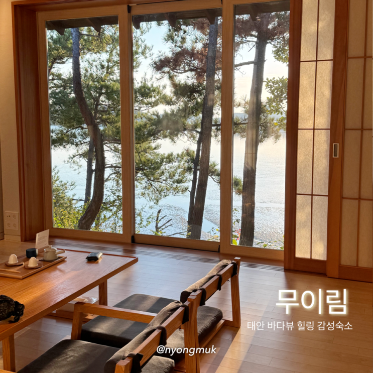 [태안] 일출•일몰이 보이는 바다뷰 힐링 숙소 “무이림” / 제 2객실, 조식, 카페 후기 : 네이버 블로그
