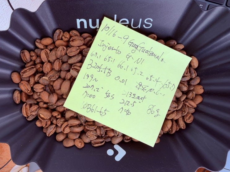 과테말라 인헤르토 드라이드 온 체리 게이샤 내추럴 / Nucleus Link Roasting Profile : 네이버 블로그