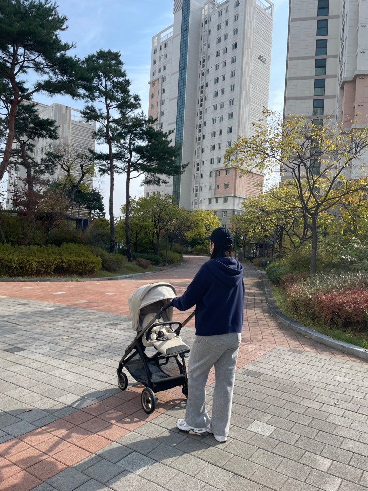 [내돈내산] 잉글레시나 뉴일렉타 만족후기 : 네이버 블로그