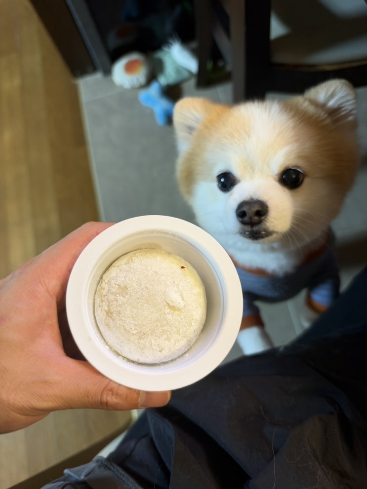 신상 한정선 피스타치오맛 찹쌀떡 후기, 당일 픽업 받은 솔직 리뷰 : 네이버 블로그