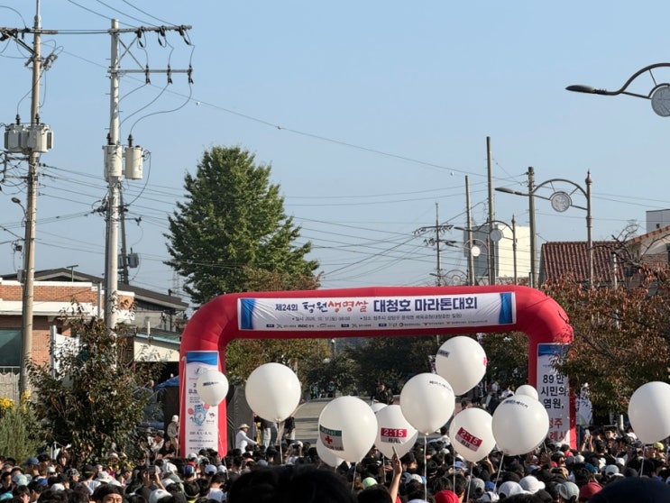 인생 첫 하프마라톤;) 2026 대청호 마라톤 후기🏃🏻‍♀️