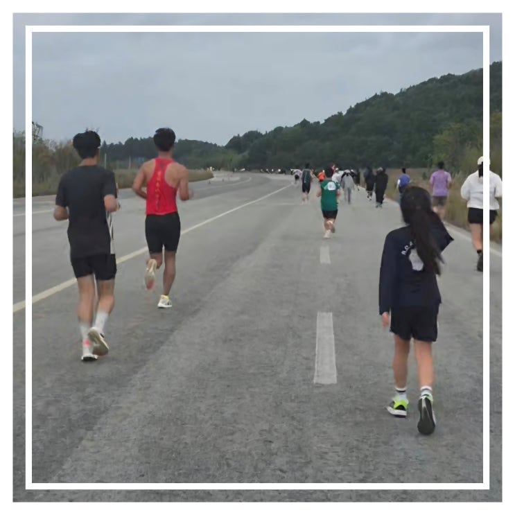 해남 그린스텝 10km 48위