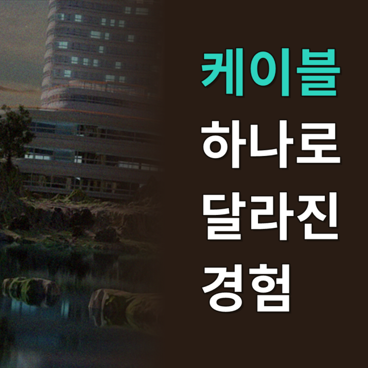 블레이즈 VESA DP 2.1 케이블 DP80 240Hz 80G 16K 1m : 네이버 블로그
