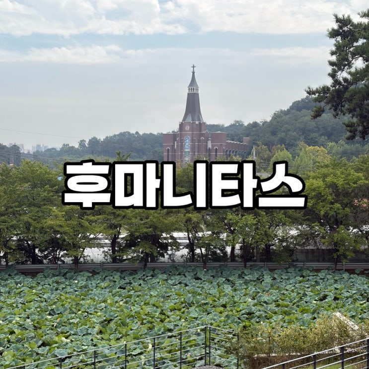 도서관 감성에 뷰까지 완벽했던 ‘후마니타스’ : 네이버 블로그