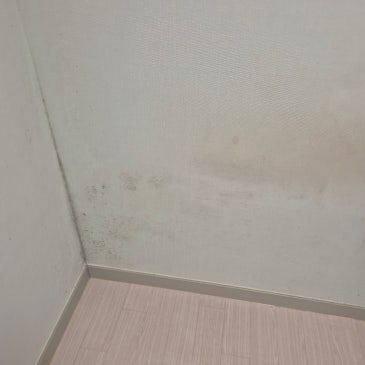 [서울시 광진구]반지하 곰팡이 제거ㅣ벽지 안에 갇힌 습기로 생긴 곰팡이.곰팡이제거&재발방지 전문업체 광남.