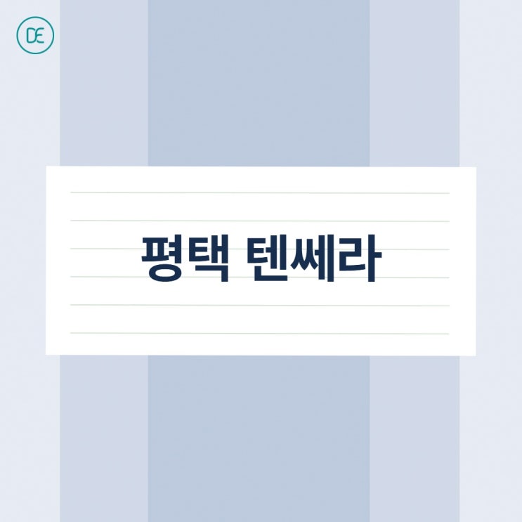 평택 텐쎄라 300라인 샷 차이 비교, 권장 주기 : 네이버 블로그