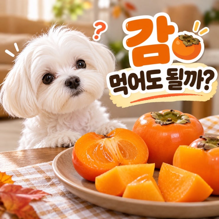 강아지 감 먹어도 될까? 홍시 단감 급여 시 주의사항 : 네이버 블로그