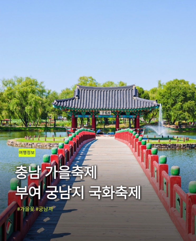 11월 충남 가을축제 부여 가볼만한곳 추천 궁남지 부여 국화축제 : 네이버 블로그