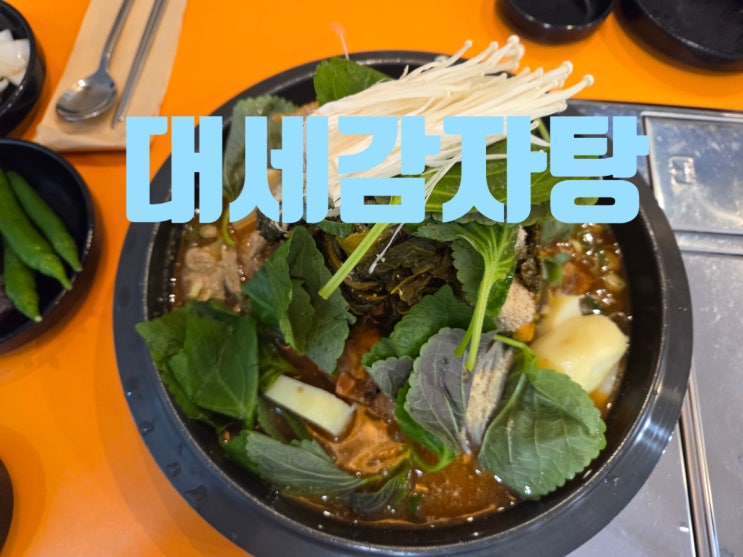 대구 대봉동 맛집 대세감자탕 : 네이버 블로그