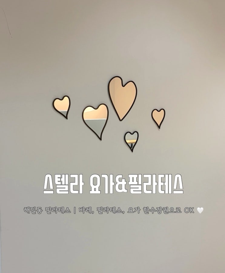 [세종 해밀동 필라테스] 스텔라 요가&필라테스 세종점 :: 다양한 운동을 한 번에!💪🏻 : 네이버 블로그