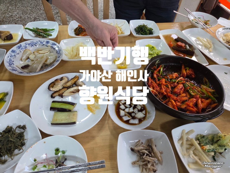 해인사 맛집 향원식당 산채한정식, 백반기행 보고 찾은 3인 점심 후기 : 네이버 블로그