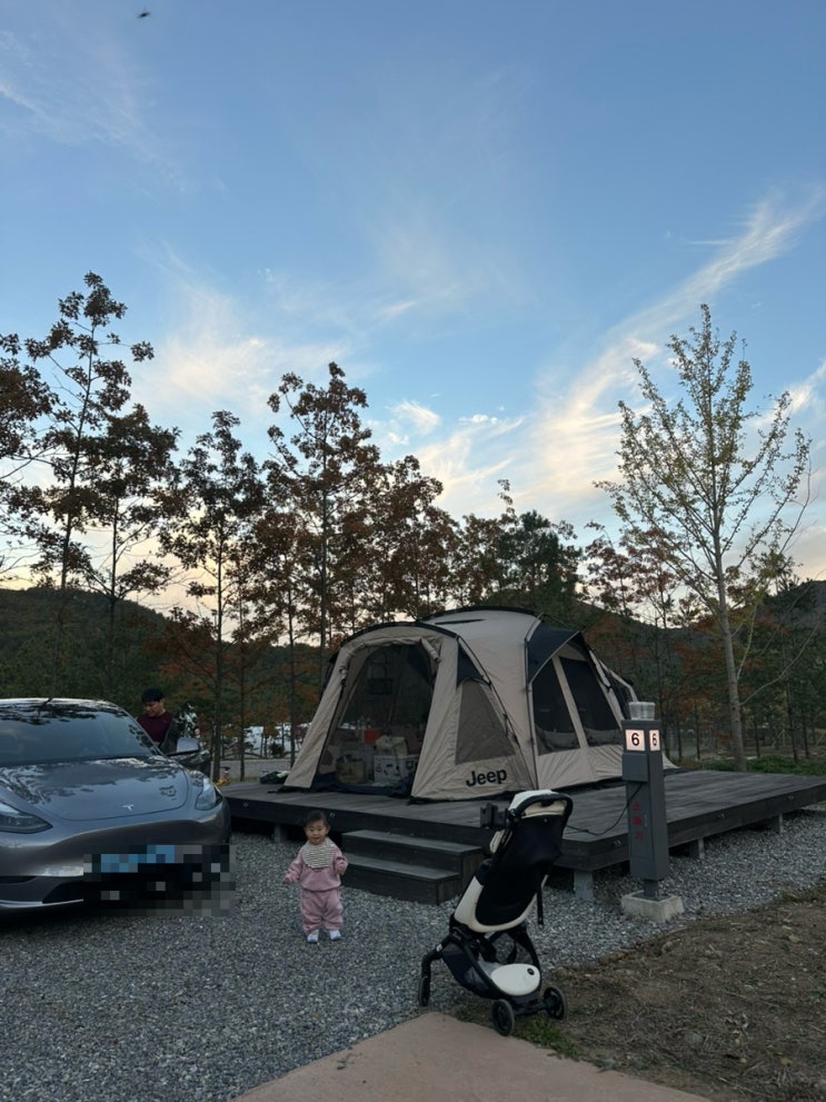 [캠핑징추천]삼척두타산810 숲속야영장 (신상캠핑장),16개월 아기랑 캠핑 후기🏕️👶🏻 : 네이버 블로그