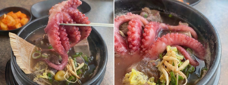 [미사삼계탕] 솔직후기! 백흑담, 12시간 수비드 닭과 정원 뷰