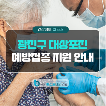 광진구 대상포진 예방접종 지원, 65세 이상 무료접종 대상과 비용 안내