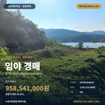 경기 안성시 죽산면 산경매 수원지방법원 평택지원 2024타경48030 썸네일