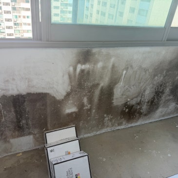 [경기도 수원시]베란다 곰팡이 제거ㅣ새로운 페인트 시공 전 베란다 곰팡이 제거 현장.곰팡이제거&재발방지 전문업체 광남.