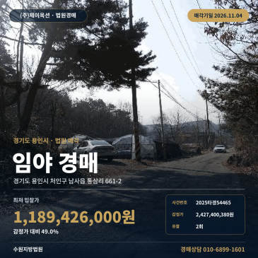 용인시 처인구 남사읍 동막저수지 인근 임야 경매 2025타경54465 썸네일