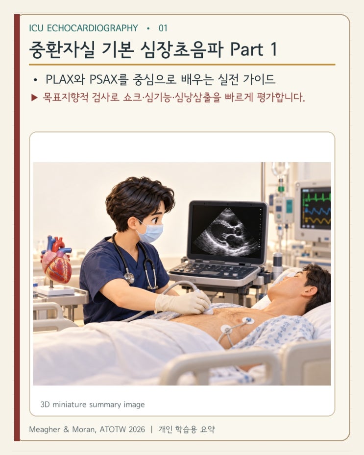 [중환자실 기본 심장초음파 Part 1] PLAX·PSAX 실전 가이드 : 네이버 블로그