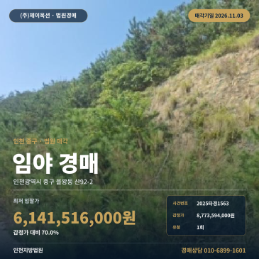 인천 중구 을왕동 대규모 임야 경매, 1회 유찰로 61억 원대 산지 2025타경1563 썸네일