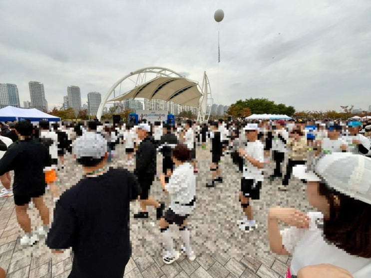[run] 2026 뉴시스 바다마라톤 대회