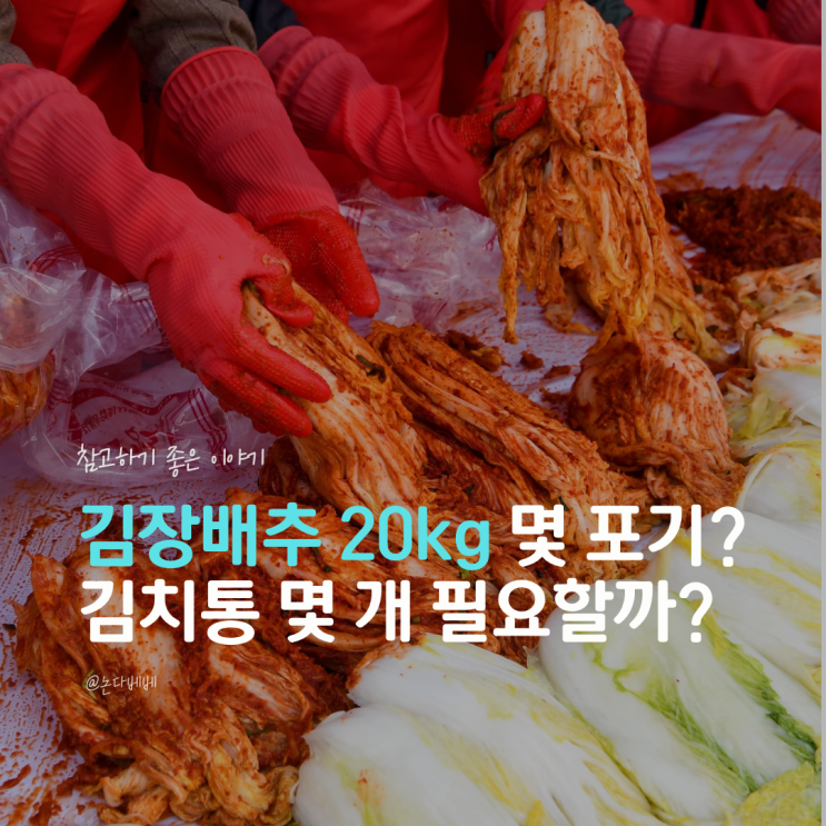 김장배추 20kg 몇 포기? 김치통은 몇 개 필요할까? : 네이버 블로그