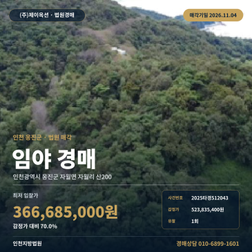 인천옹진군 토지경매 자월면 자월리 임야 2025타경512043 썸네일