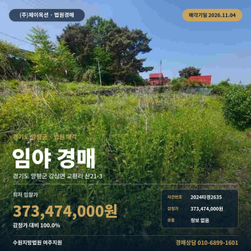 양평군 토지경매 강상면 교평리 임야 2024타경2635 썸네일