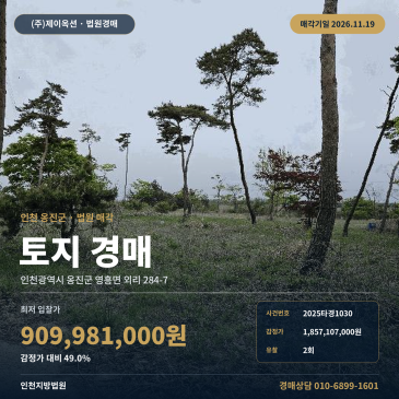 인천 옹진군 산경매ㅣ영흥면 외리 임야 토지 2025타경1030 썸네일