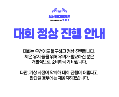 2026 부산바다마라톤 코스 광안대교 | 우천 기상악화 교통통제 주차 총정리 : 네이버 블로그