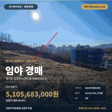남양주시 화도읍 임야경매 산지 2024타경86390 썸네일