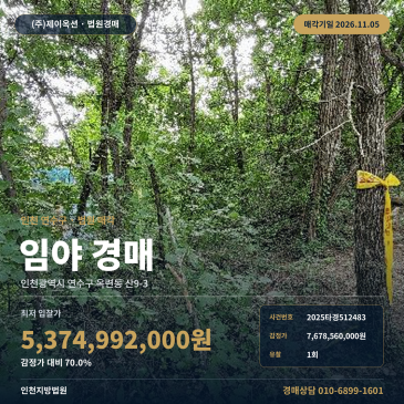 인천 연수구 옥련동 송도고 북서측 자연림 임야 경매 2025타경512483 썸네일