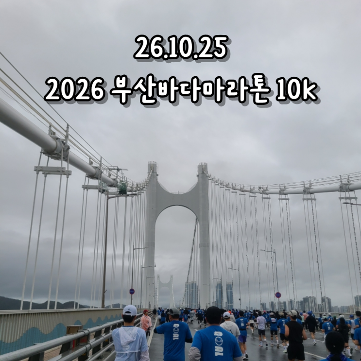 26.10.25 2026 부산바다마라톤10K 완주하고 국밥