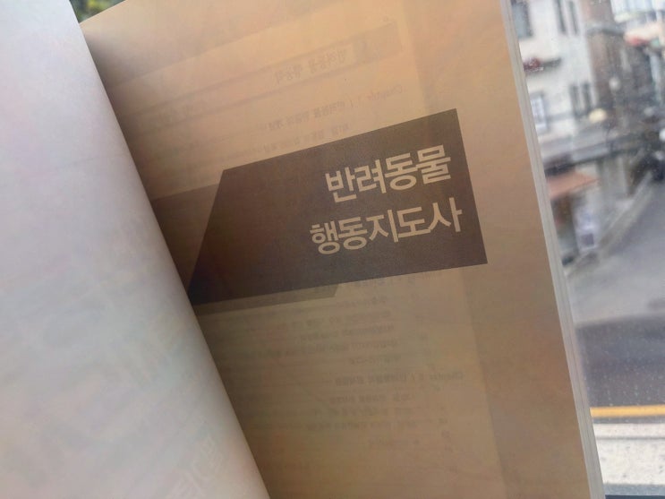[엘로드에듀] 반려동물행동지도사2급 국비지원 인강으로 졸업 전 스펙 챙기기